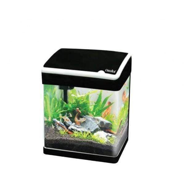 Aquacurv LED Nano Aquarium Unit Black 38L - Jurassic Jungle