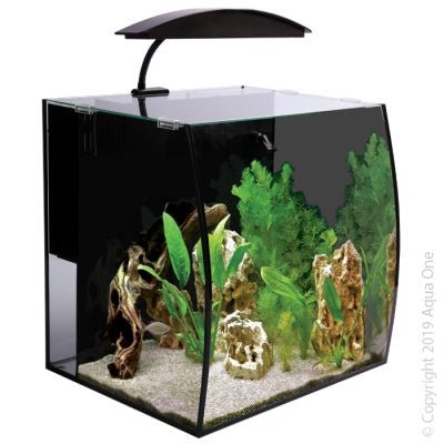 Arc 46 Aquarium Black - Jurassic Jungle