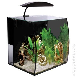 Arc 46 Aquarium Black - Jurassic Jungle