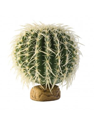 Reptile Aquarium Plant - Barrel Cactus Medium 13cm