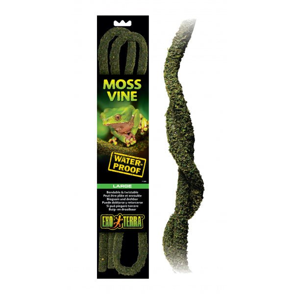 Reptile Hanging Plant - Bendable Moss Vine Large