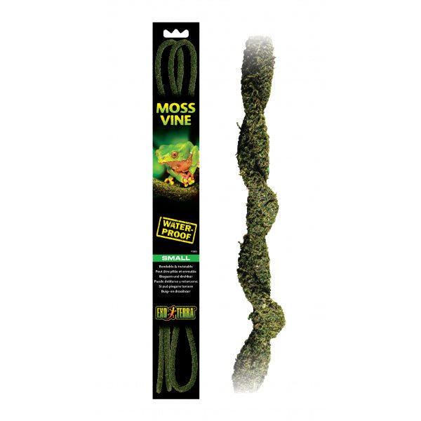 Reptile Hanging Plant - Bendable Moss Vine Small