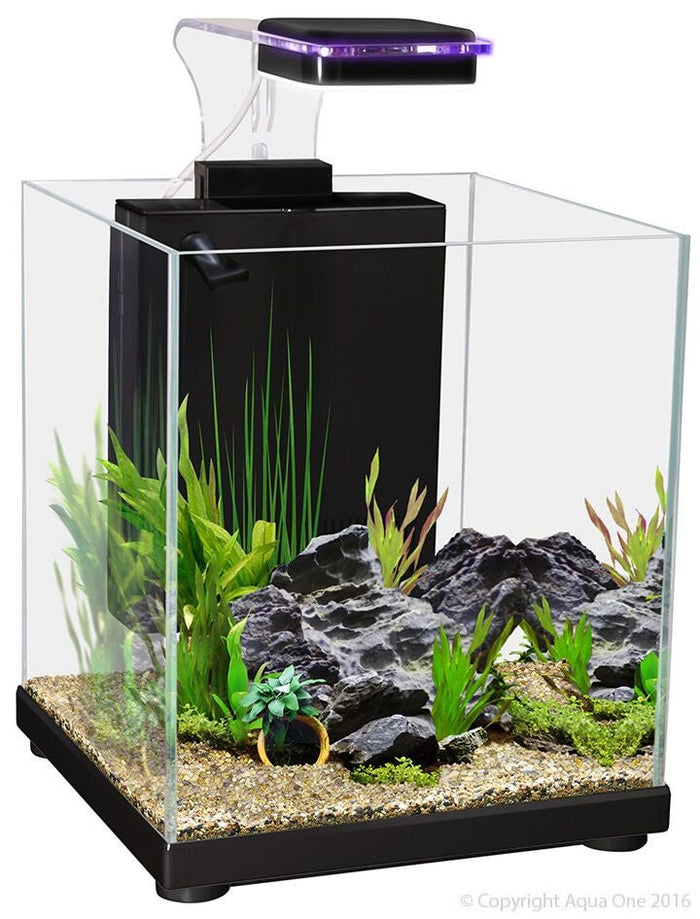 Aquarium - Betta Sanctuary Glass Aquarium 10L