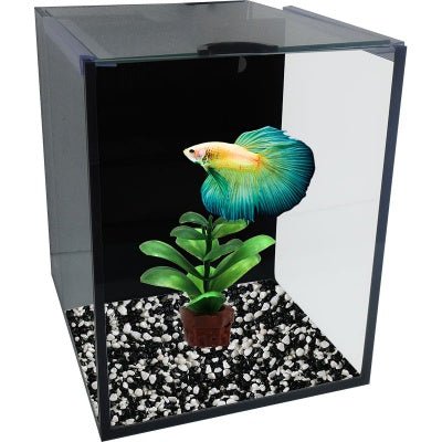 Betta Villa Single - 16x16x16cm - Jurassic Jungle