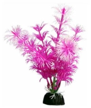 BettaScape Ambulia Pink - Jurassic Jungle