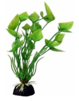 BettaScape Lily Green - Jurassic Jungle