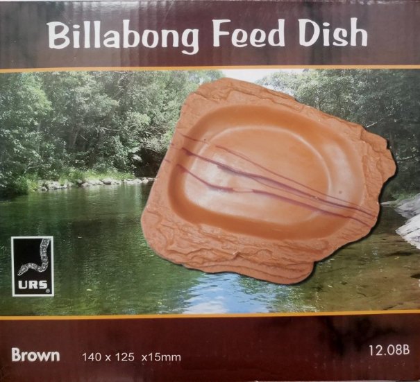 Reptile Billabong Feeding Dish Brown