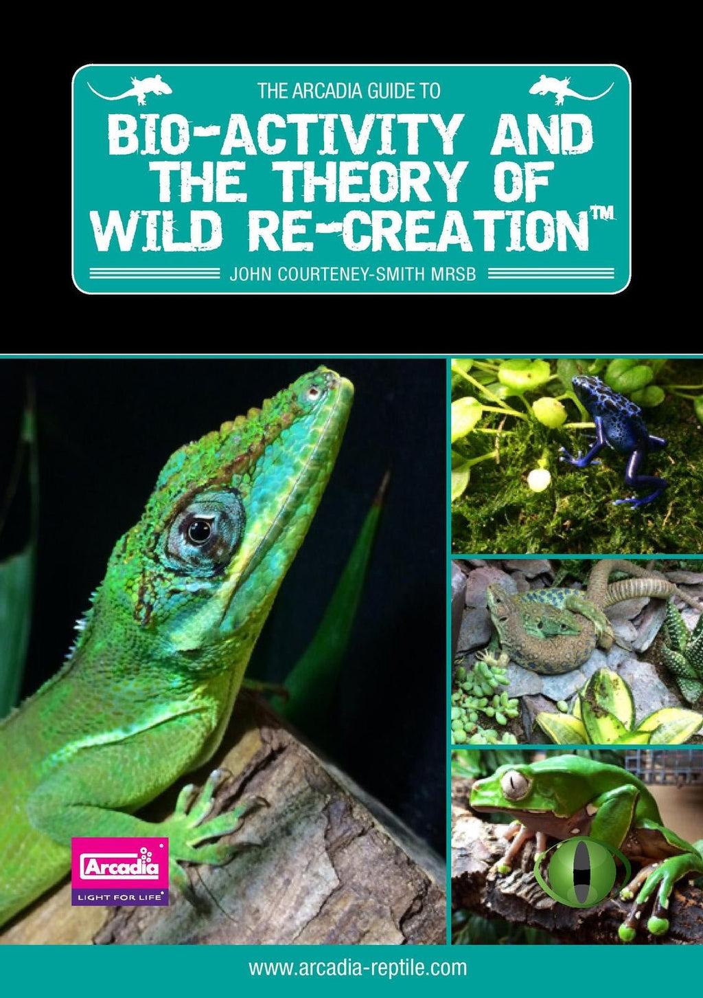 Bio-Activity and the Theory of Wild Re-Creation - Jurassic Jungle