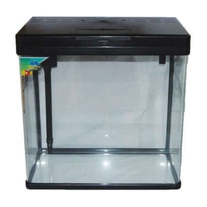 Boyu 34L Black Fish Tank - Jurassic Jungle