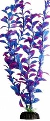 Brightscape Large 12inch Hygro Purple - Jurassic Jungle