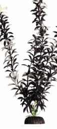 Brightscape Large 12inch Ludwigia Black - Jurassic Jungle