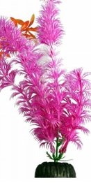 Brightscape Medium 8inch Ambulia Pink - Jurassic Jungle