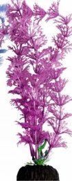 Brightscape Medium 8inch Ambulia Purple - Jurassic Jungle