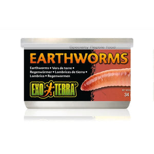 Canned Earthworms 34gm - Jurassic Jungle