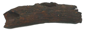 Catfish Log Medium - Jurassic Jungle