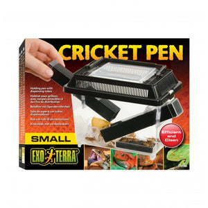 Cricket Pen Small 18 x 14 x 11cm - Jurassic Jungle