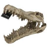 Croc Skull - Jurassic Jungle