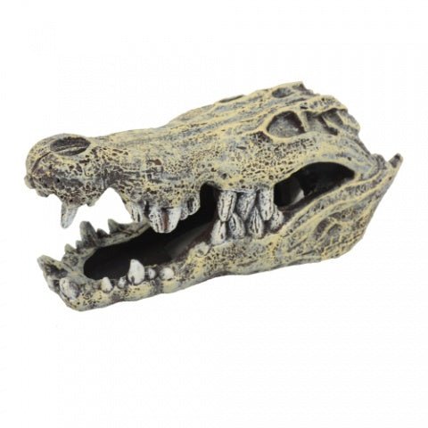 Reptile Aquarium Decor - Croc Skull showmaster