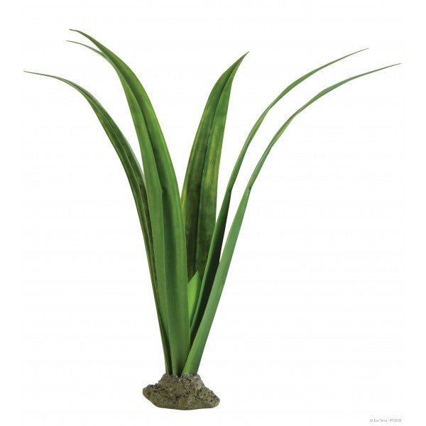 Reptile Aquarium Plant - Decorative Plant Pandanus