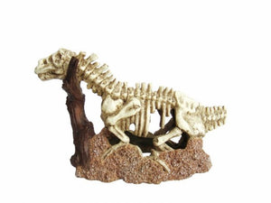 Dinosaur Skeleton 27x12x18cm - Jurassic Jungle