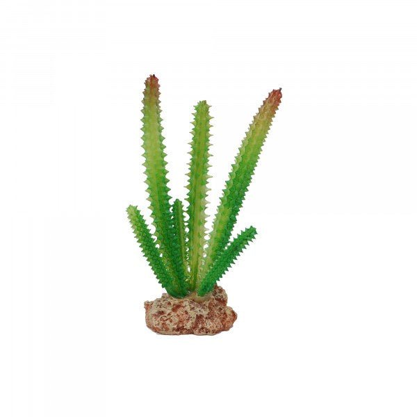 Eco Tech Desert Cactus 16cm
