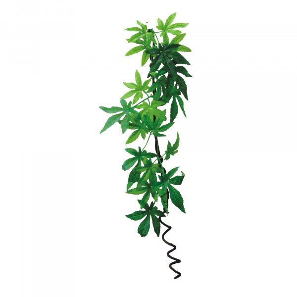 Eco Tech Hanging Albulliton w/Vine 60cm - Jurassic Jungle