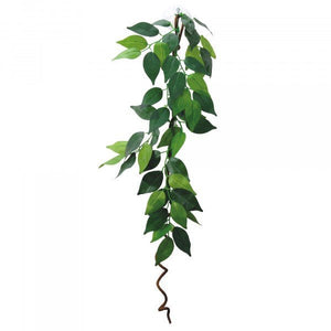 Eco Tech Hanging Ficus w/Vine 60cm - Jurassic Jungle