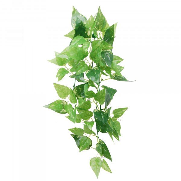 Eco Tech Hanging Honey Ivy 45cm