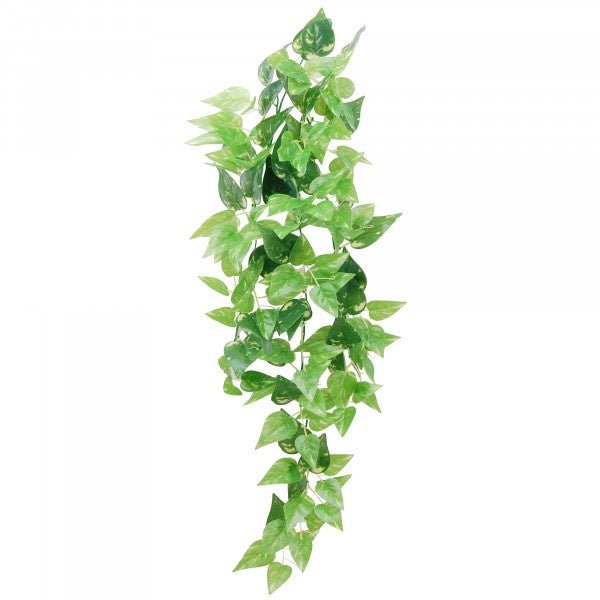 Eco Tech Hanging Honey Ivy 80cm - Jurassic Jungle