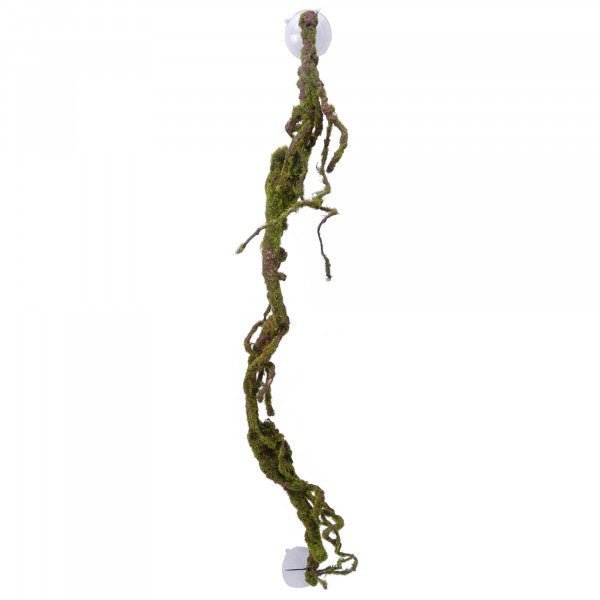 Eco Tech Multiple Twist Vines w/Moss Lichen 80cm - Jurassic Jungle