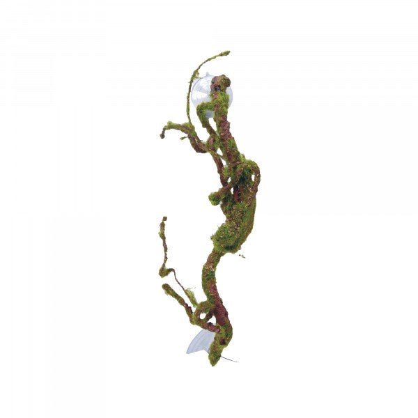 Eco Tech Twisted Vine w/Moss Ball 40cm