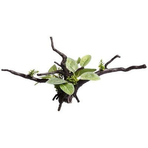 Ecoscape Green Calathea Driftwood - Jurassic Jungle