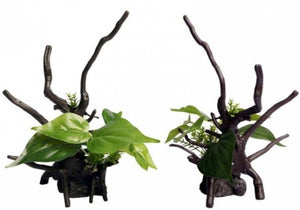 Ecoscape Green Devils Ivy Driftwood - Jurassic Jungle