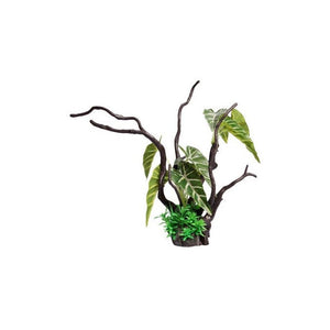 Ecoscape Philodendron Driftwood Green - Jurassic Jungle