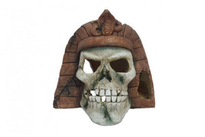 Egyptian Skull 15x15x14cm - Jurassic Jungle