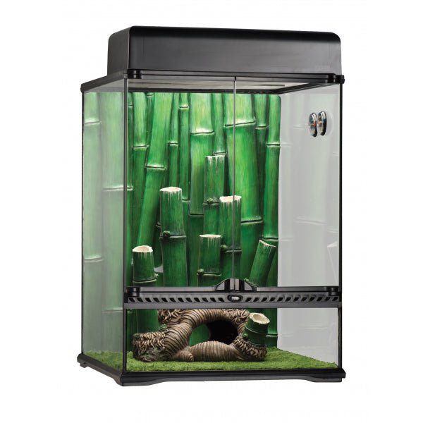 Exo Terra Bamboo Forest Kit Large 45x45x60cm - Jurassic Jungle