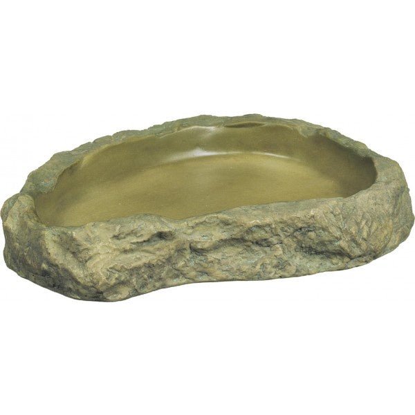 Exo Terra Feeding Dish Extra Large - Jurassic Jungle