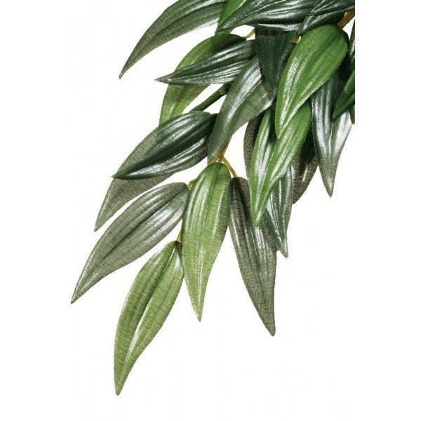 Exo Terra Forest Plant Large Ruscus - Jurassic Jungle