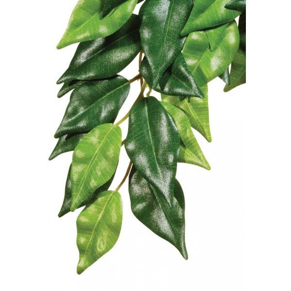 Exo Terra Forest Plant Medium Ficus