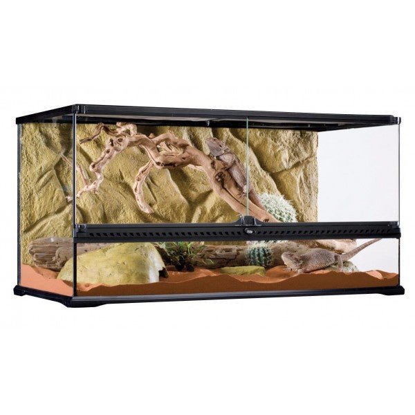 Exo Terra Large Wide 90x45x45cm - Jurassic Jungle