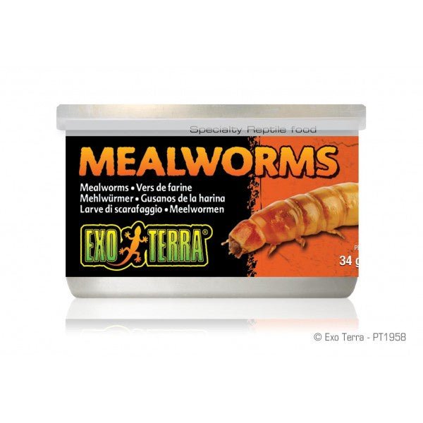 Exo Terra Mealworms - 34gm (1.2 oz.)