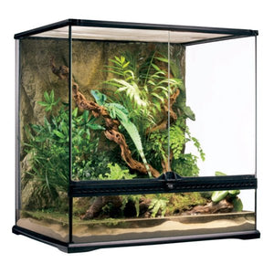 Exo Terra Medium Tall 60x45x60cm - Jurassic Jungle