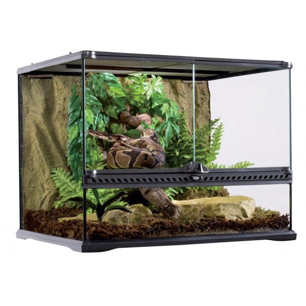 Exo Terra Medium Wide 60x45x45cm - Jurassic Jungle