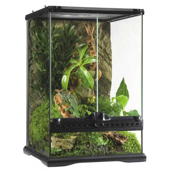 Exo Terra Mini Tall 30x30x45 - Jurassic Jungle