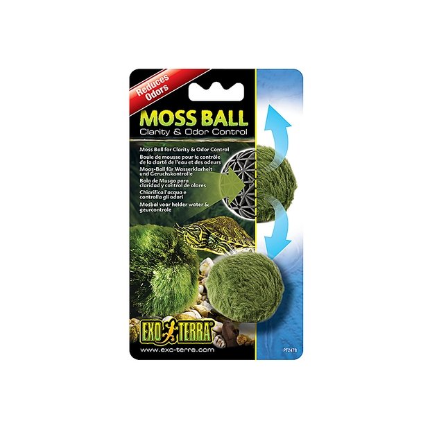 Exo Terra Moss Ball, Treats 30-60L - Jurassic Jungle