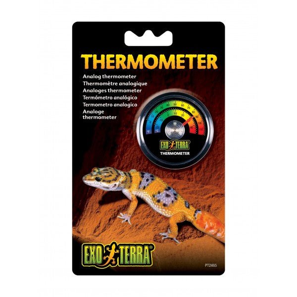 Exo-terra Rept O-meter Thermometer - Jurassic Jungle