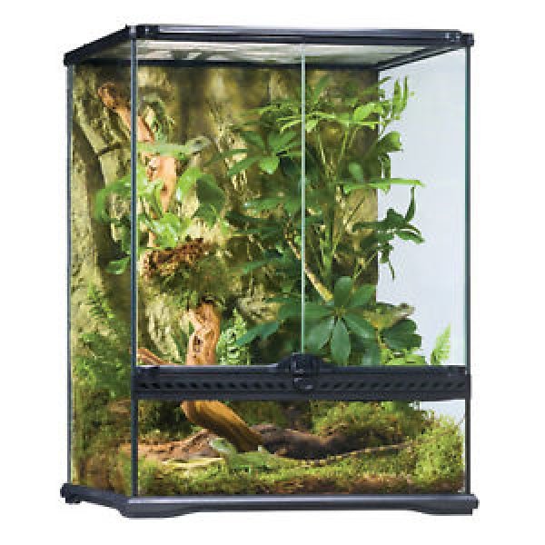 Exo Terra Small Tall 45x45x60cm - Jurassic Jungle