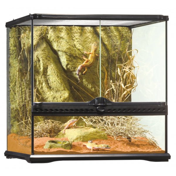 Exo Terra Small Wide 45x45x45cm - Jurassic Jungle