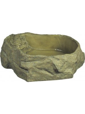 Exo Terra Water Dish Extra Large - Jurassic Jungle