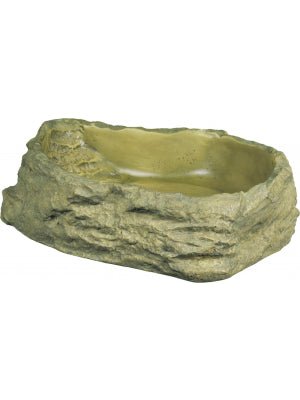 Exo Terra Water Dish Large - Jurassic Jungle